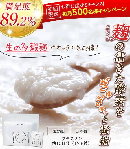 プラスノン解約方法