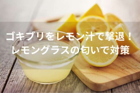 ゴキブリをレモン汁で撃退！レモングラスの匂いが嫌いな習性を利用した対策